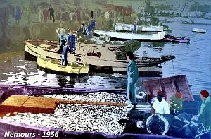 Nemours 1956